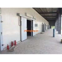 電動平移雙開門