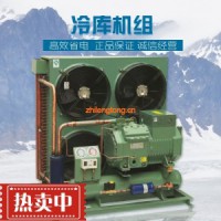 廠家直銷全新比澤爾中低溫半封閉活塞壓縮機(jī)風(fēng)冷機(jī)組冷