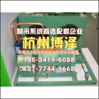 廠家直銷半封閉風(fēng)冷機(jī)組水冷機(jī)組谷輪活塞壓縮機(jī)比澤爾
