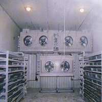 山西速凍低溫庫