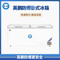 營(yíng)口500/680/800L雙門臥式防爆冰箱 BL-200WS500L
